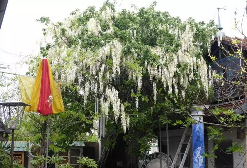 Aamiaismajoitus (B&B) Pension Zur Rose