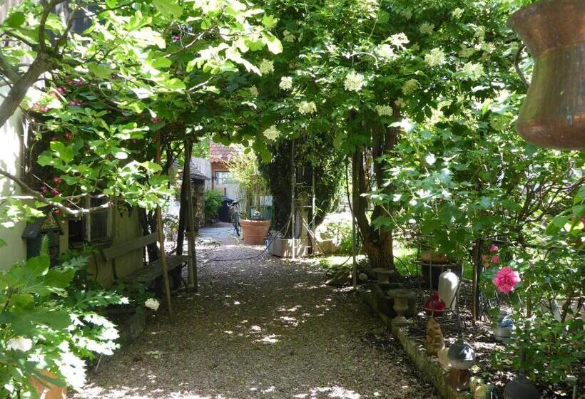 تختخواب و صبحانه Pension Zur Rose