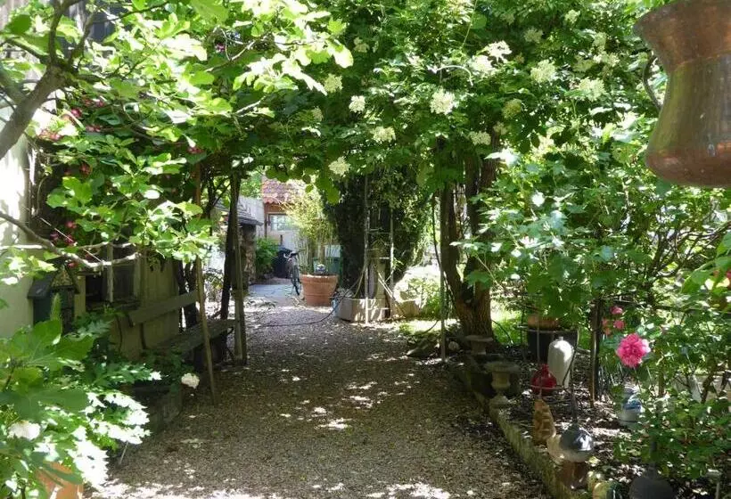 Aamiaismajoitus (B&B) Pension Zur Rose