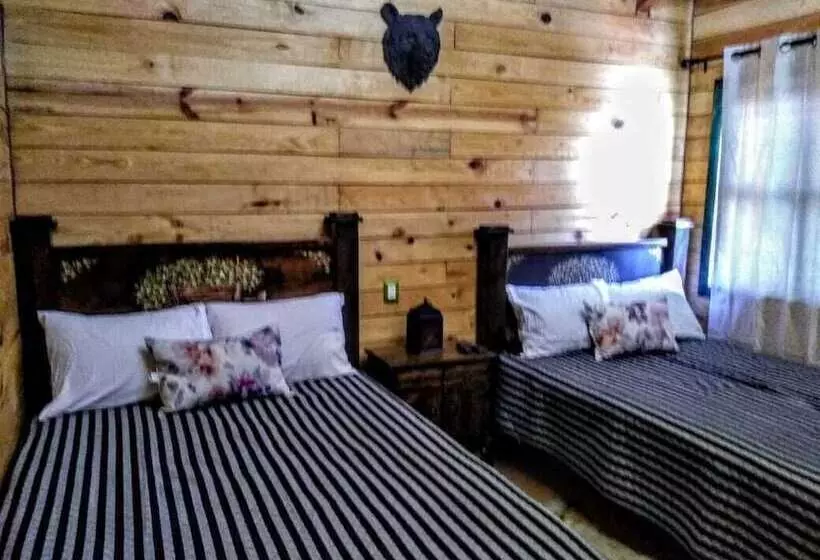 ホテル Cabañas Big Mountain