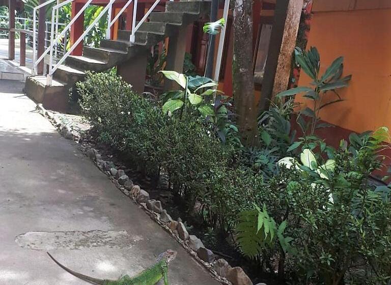 בית מלון כפרי Corcovado & Drake Inn