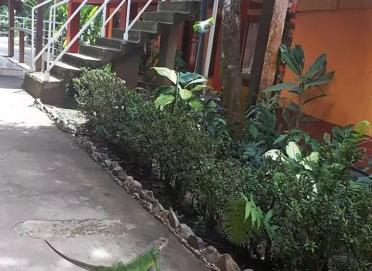 Hotelli Corcovado & Drake Inn