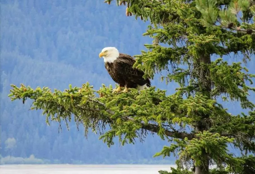 Suite 1 Lynn View Lodge