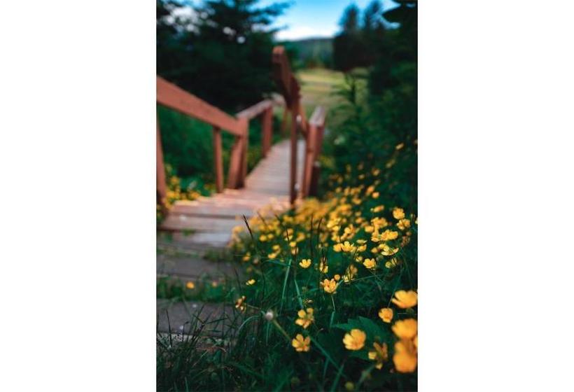 Suite 1 Lynn View Lodge