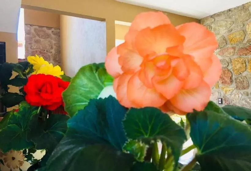 ホテル Boutique Jardín De Flores