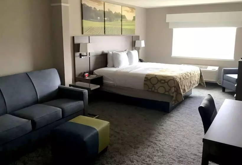 ホテル Clarion Pointe Mattoon Near University