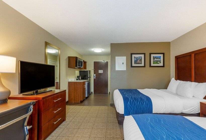 Отель Comfort Inn Danvers   Boston North Shore