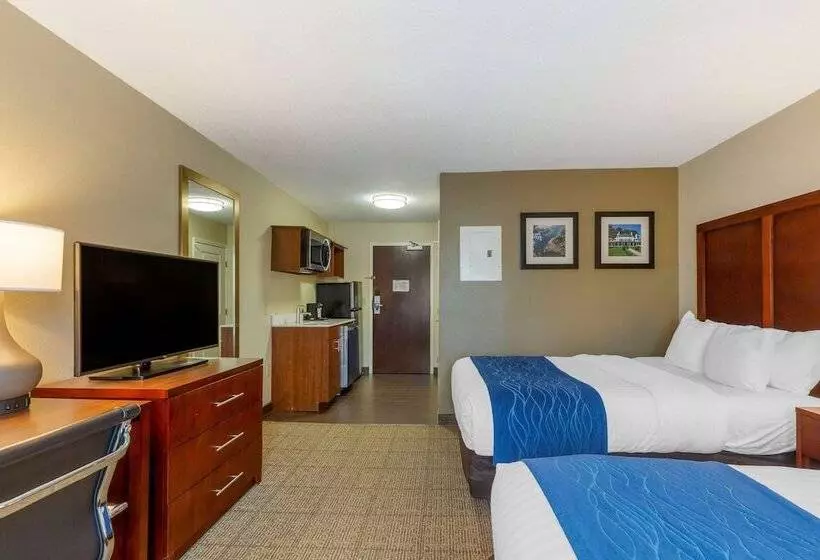 酒店 Comfort Inn Danvers   Boston North Shore