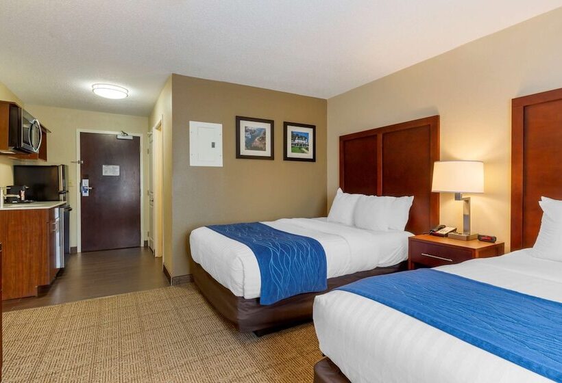 Отель Comfort Inn Danvers   Boston North Shore