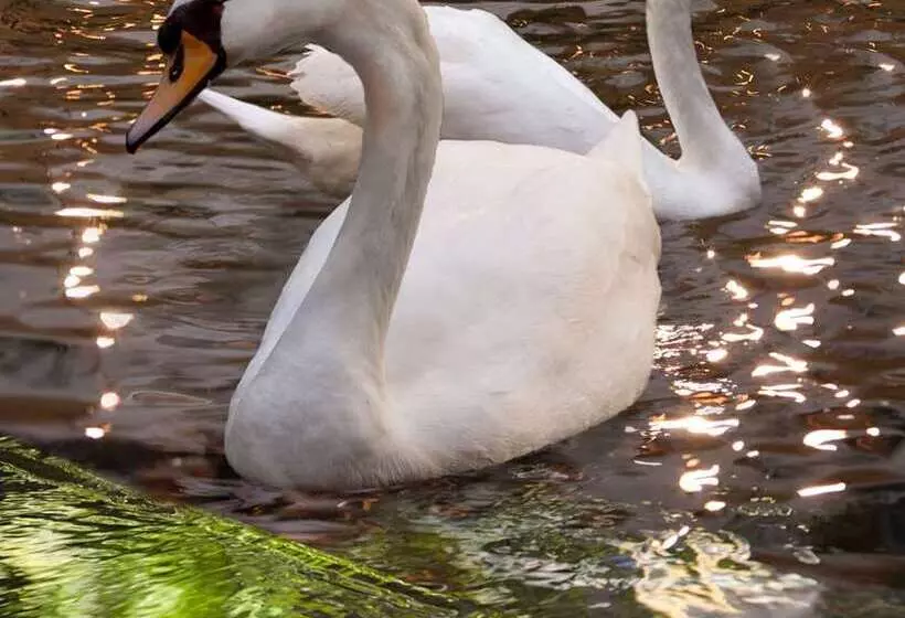 Отель Embassy Suites By Hilton Las Vegas