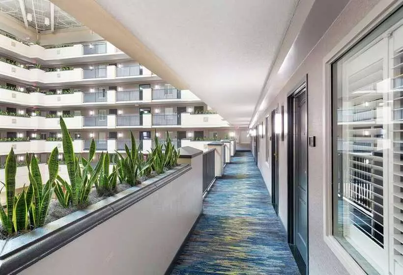 ホテル Embassy Suites By Hilton Orlando Airport