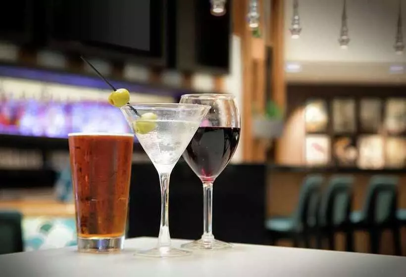 ホテル Embassy Suites By Hilton Orlando Airport