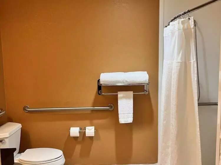 Отель Fairfield Inn And Suites By Marriott Atlanta Suwanee