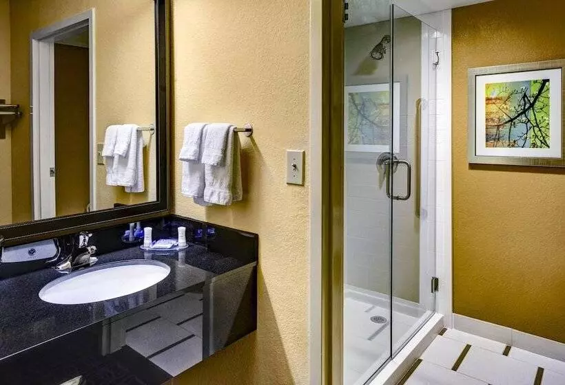 Отель Fairfield Inn And Suites By Marriott Atlanta Suwanee