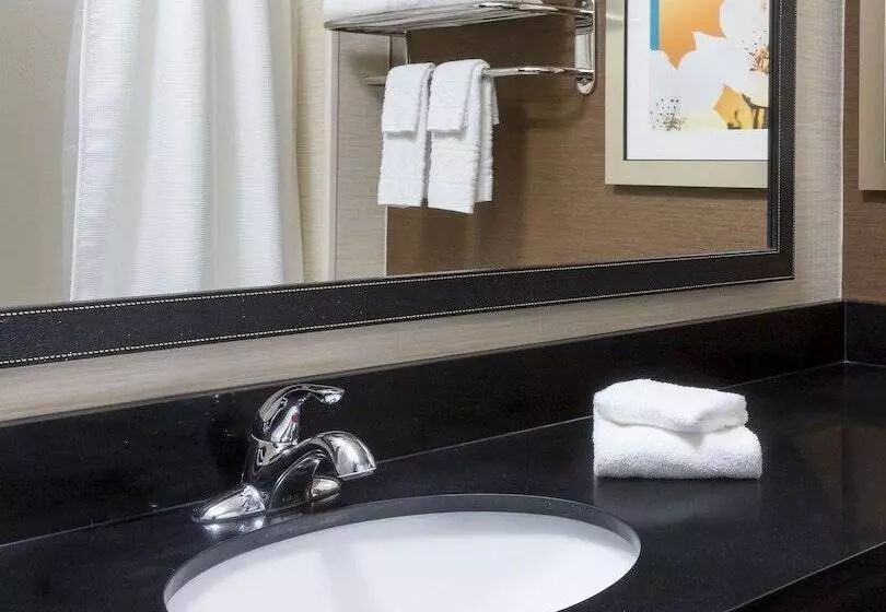 ホテル Fairfield Inn & Suites Midland