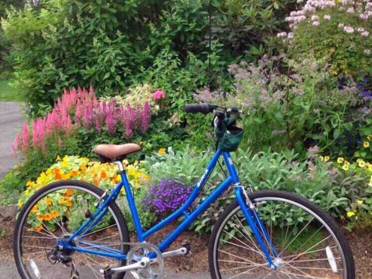 호텔 The Inn At English Meadows