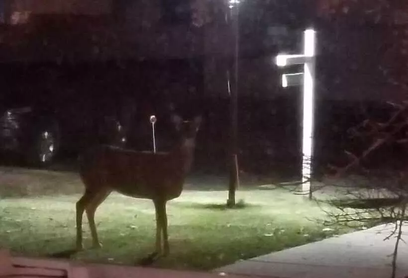 モーテル Edgewater Resort