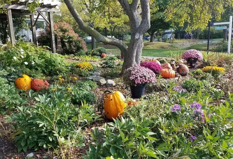 モーテル Edgewater Resort