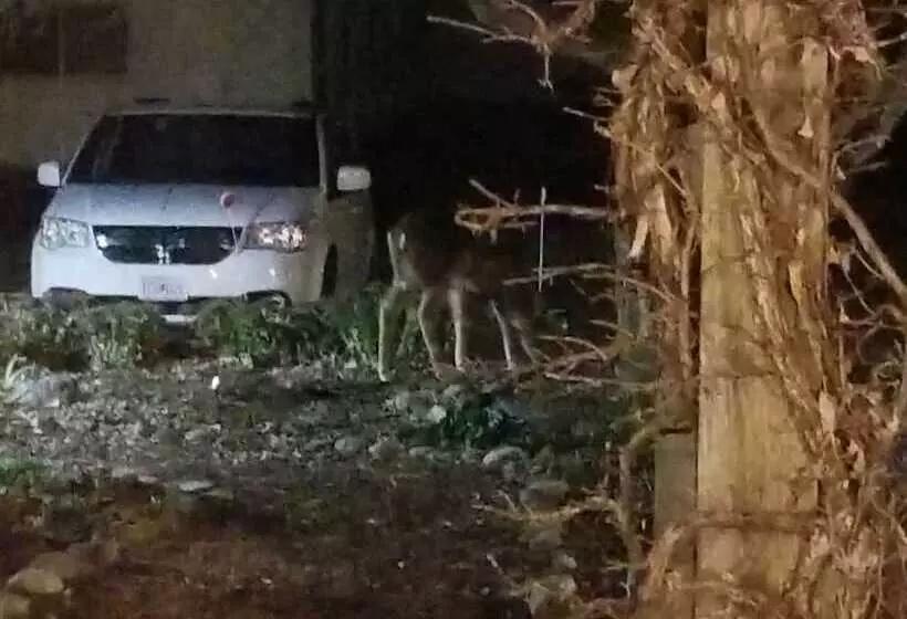 モーテル Edgewater Resort