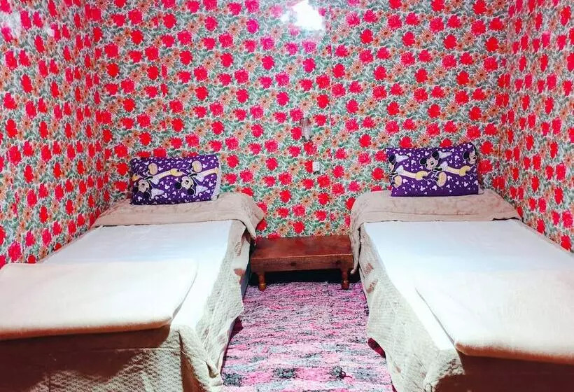 هاستل Starlight Camp Nuweiba