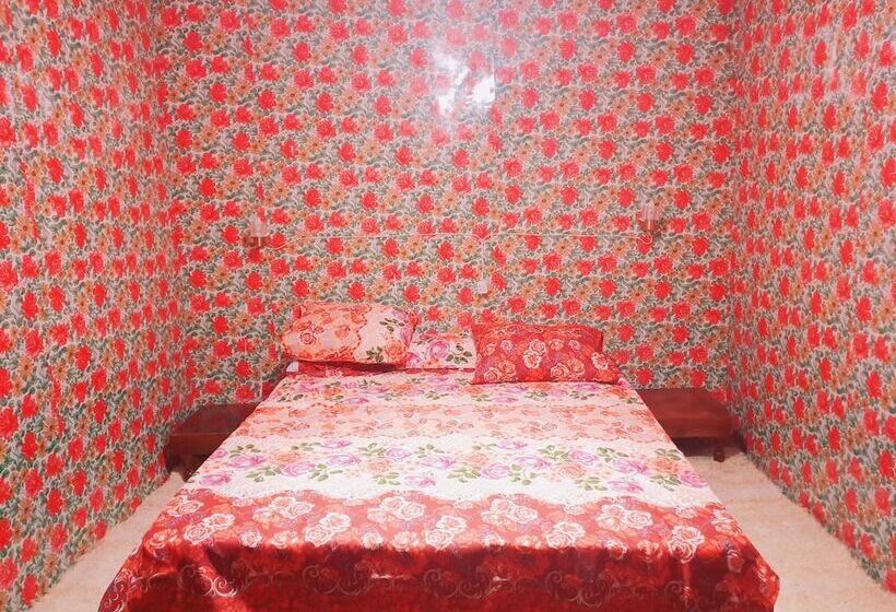 هاستل Starlight Camp Nuweiba