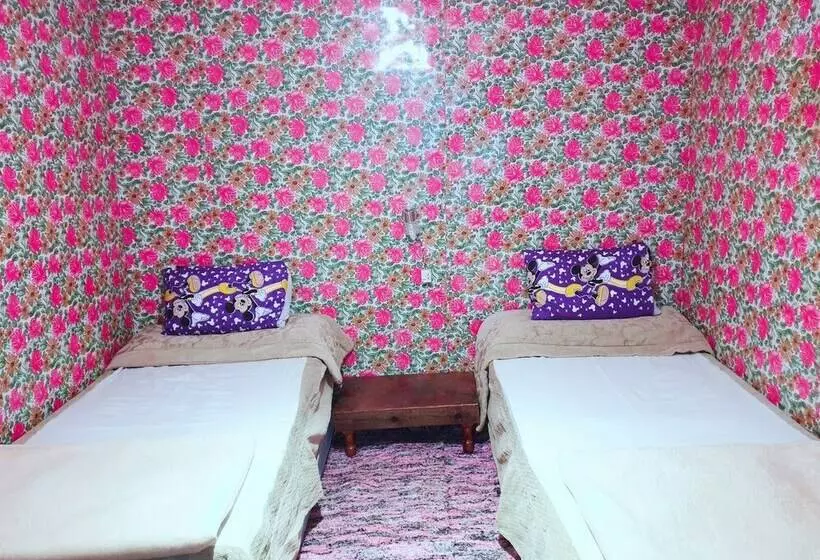 هاستل Starlight Camp Nuweiba