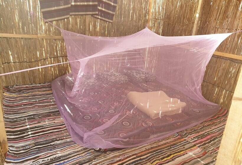 هاستل Starlight Camp Nuweiba