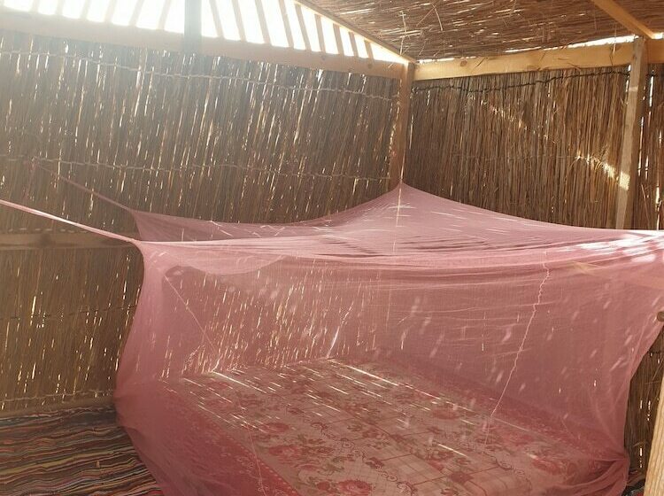 هاستل Starlight Camp Nuweiba