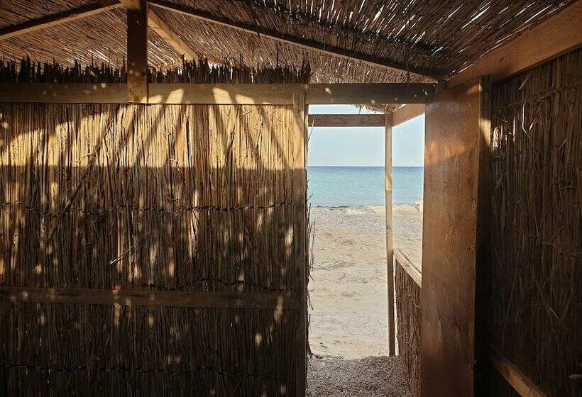 هاستل Starlight Camp Nuweiba