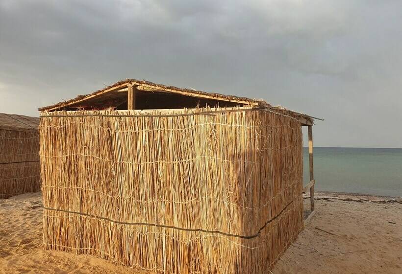 هاستل Starlight Camp Nuweiba