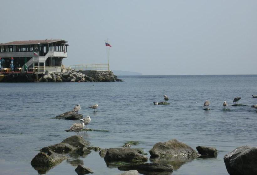 پانسیون Emona Guest House