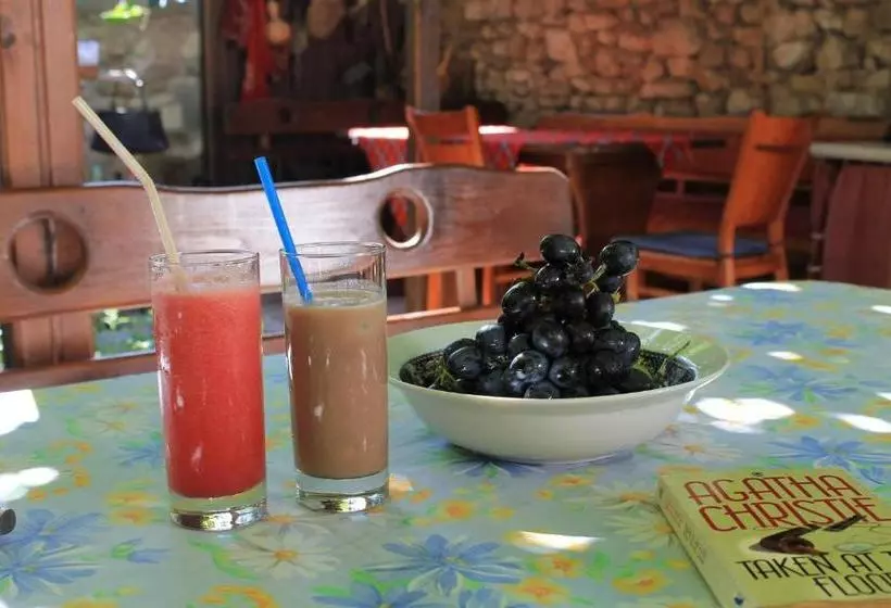پانسیون Emona Guest House