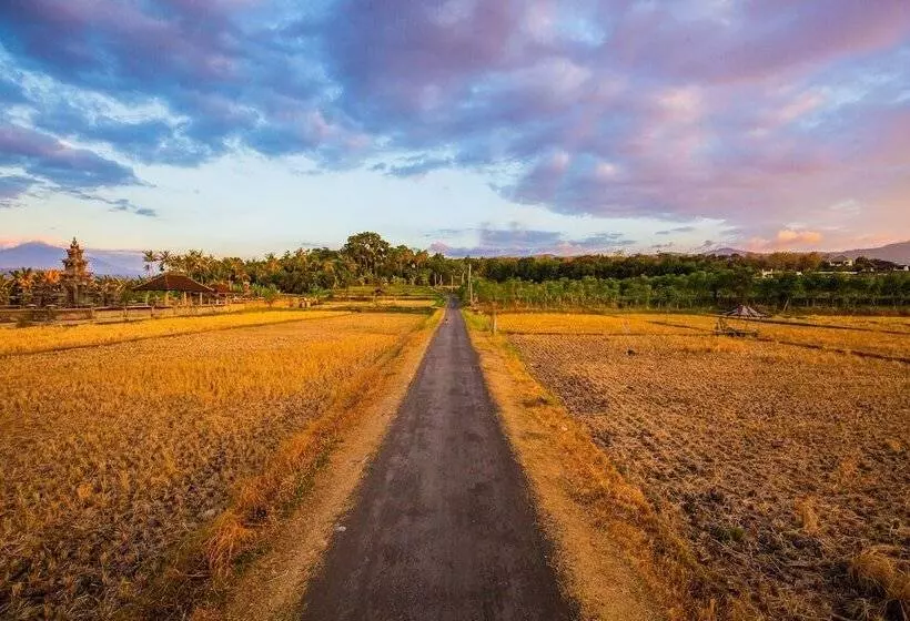 Aamiaismajoitus (B&B) Nalika Beach Resort & Restaurant   Adults Only