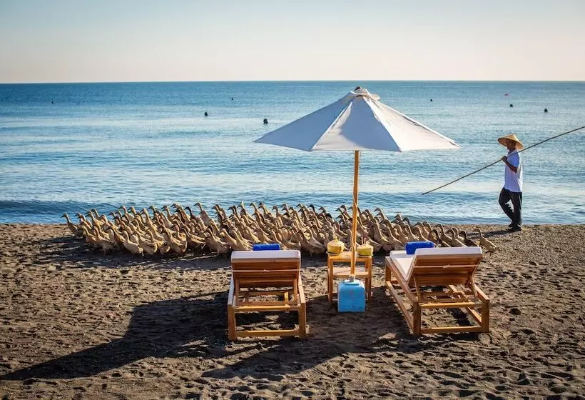 Aamiaismajoitus (B&B) Nalika Beach Resort & Restaurant   Adults Only