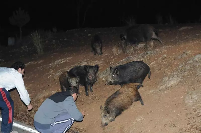 Casas Rurales Tiscar