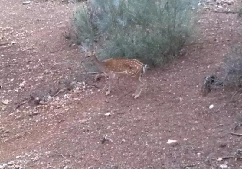 Casas Rurales Tiscar