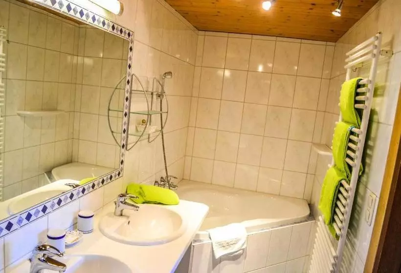 Gasthof Pension Lanzenhof