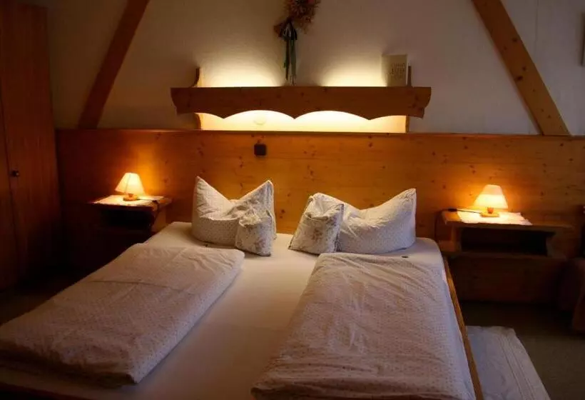 Gasthof Pension Lanzenhof