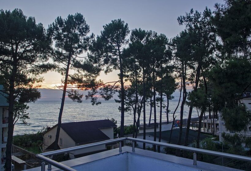 هتل Resolute Shekvetili