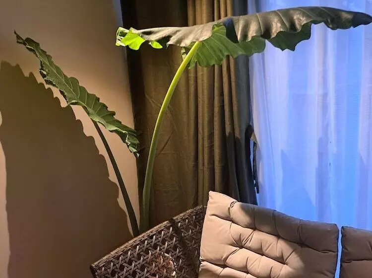 ホテル The Hub District Garden Suites