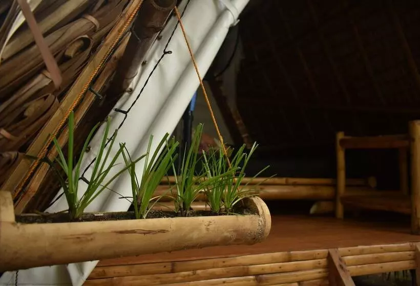 Neverland   Hostel
