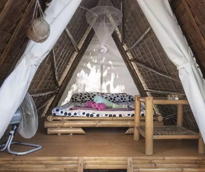 Neverland   Hostel