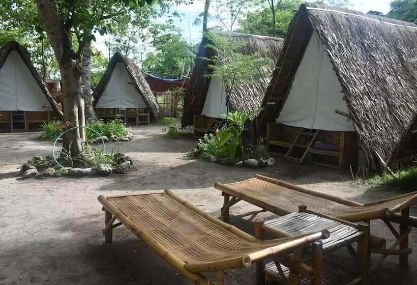 Neverland   Hostel
