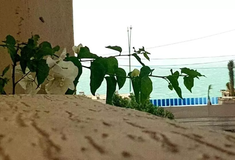 Majatalo Dakhla Ride Adventures