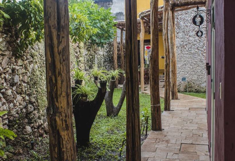 旅馆 Mamachá Natural Residence