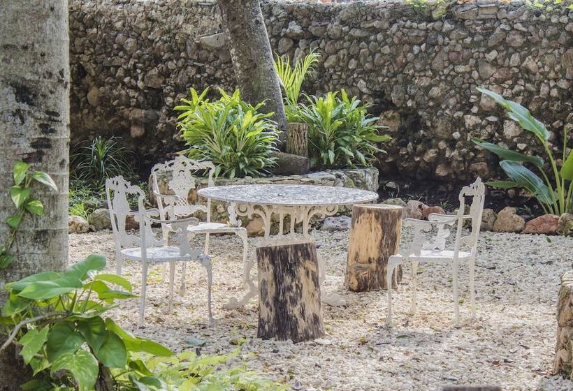 旅馆 Mamachá Natural Residence