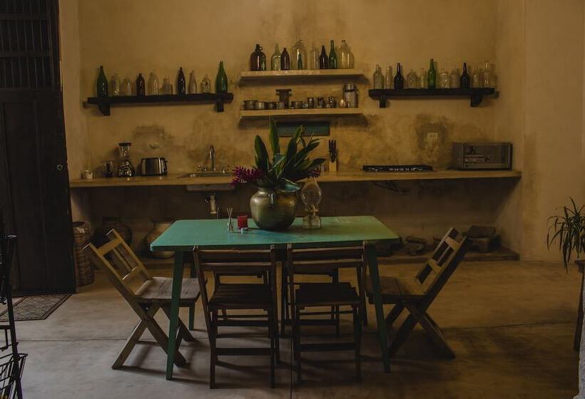 旅馆 Mamachá Natural Residence