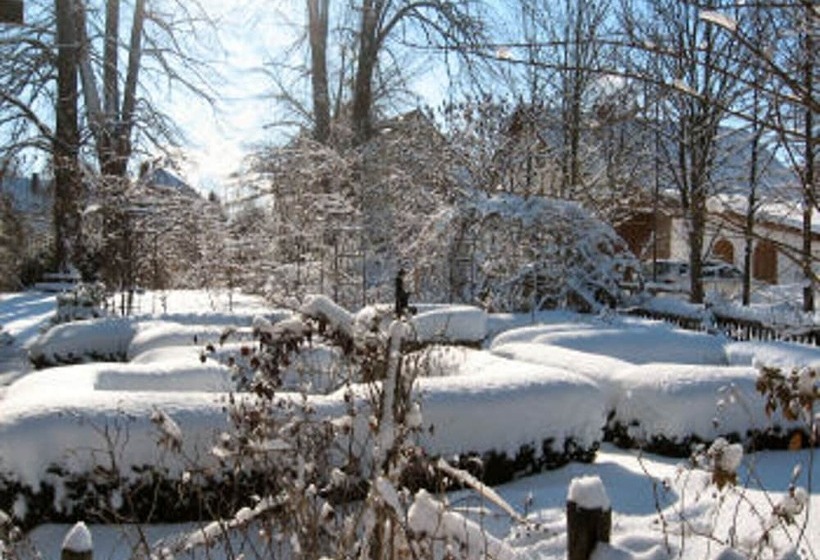 Martina S Place Bed & Breakfast