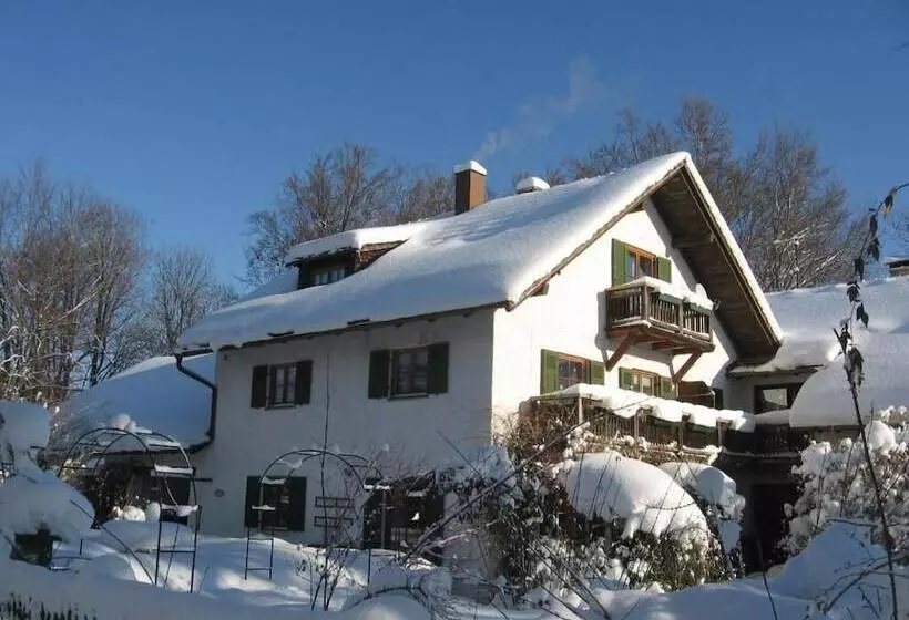 Martina S Place Bed & Breakfast