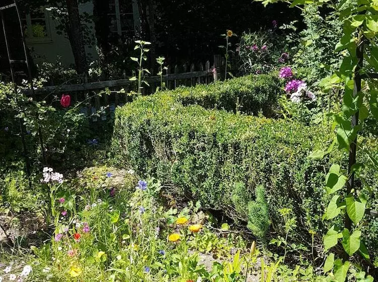 Martina S Place Bed & Breakfast